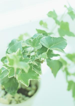 大切なマイホームのリフォームなら