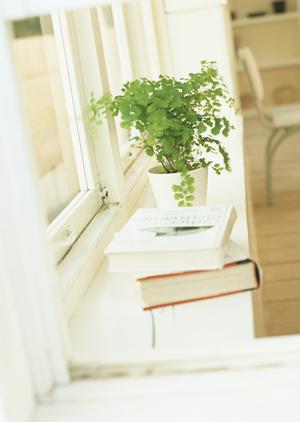 住宅検査に迷っている家の所有者に朗報